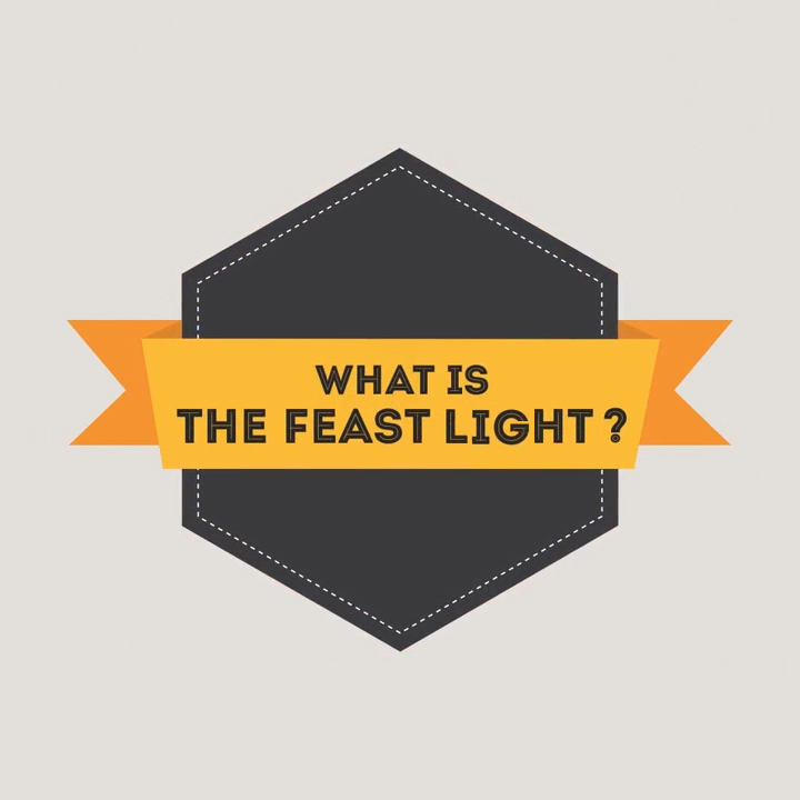 What is FeastVideo